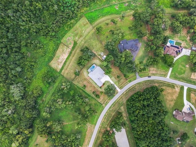 20404 WOLF SPRINGS COURT, Clermont, FL 34715