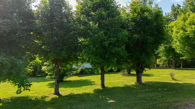 160 Dean King Road, Pine Knot, KY 42635