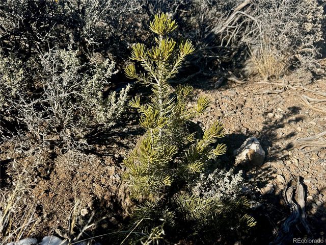 Lot 17 Largo Vista, San Luis, CO 81152