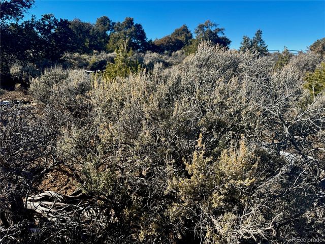 Lot 17 Largo Vista, San Luis, CO 81152