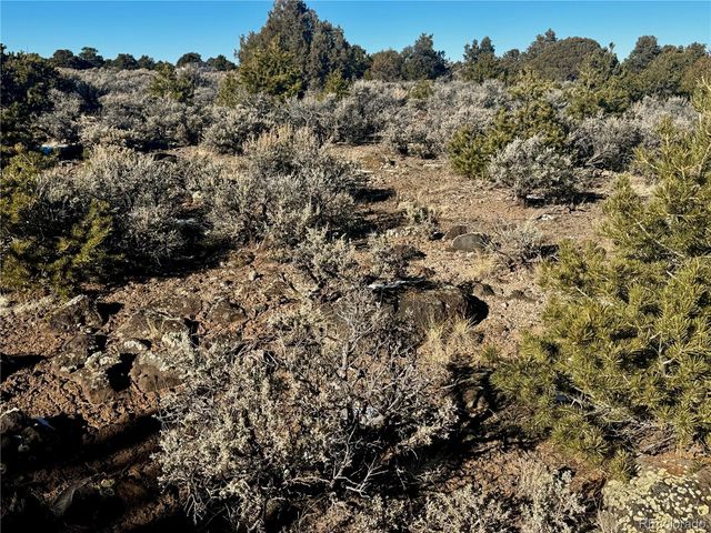 Lot 17 Largo Vista, San Luis, CO 81152