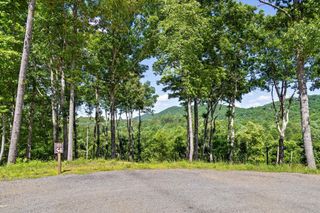 Lot 54 Hickory Lane, Mineral Bluff, GA 30559