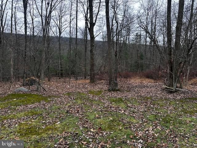 4998 BLACK LOG RD, Orbisonia, PA 17243