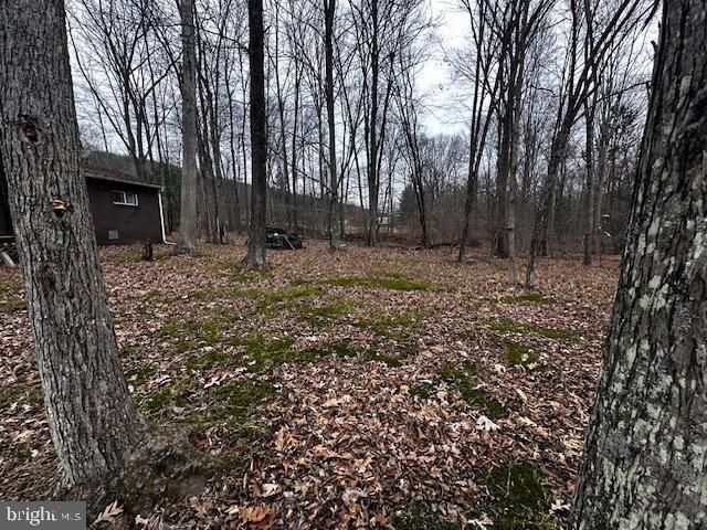 4998 BLACK LOG RD, Orbisonia, PA 17243