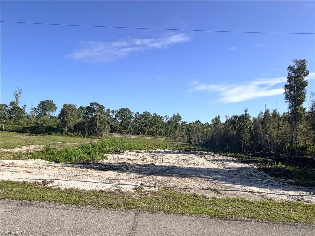 870 Arturo ST E, LEHIGH ACRES, FL 33974 — photo 3