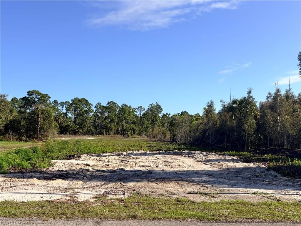 870 Arturo ST E, LEHIGH ACRES, FL 33974 — photo 5