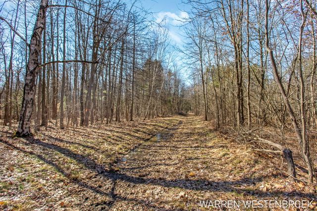 16342 Lincoln Street, Grand Haven Twp, MI 49417