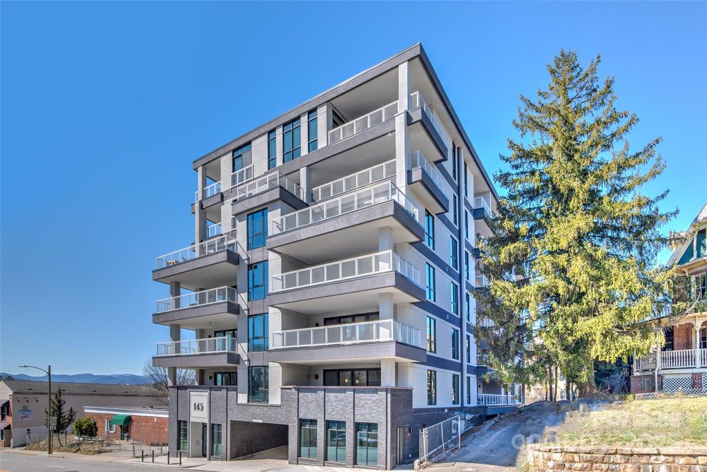 145 Biltmore Avenue 205, Asheville, NC 28801