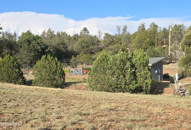 455 N SEELEY Road, Young, AZ 85554