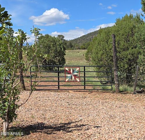 455 N SEELEY Road, Young, AZ 85554