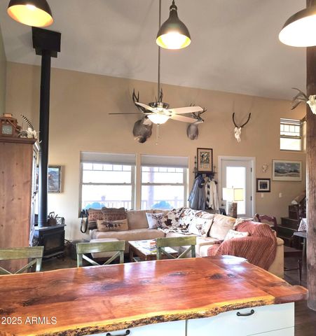 455 N SEELEY Road, Young, AZ 85554