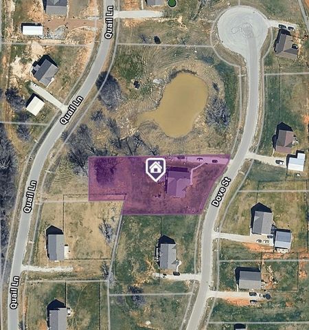 119 Dove Street, Boyd, TX 76023