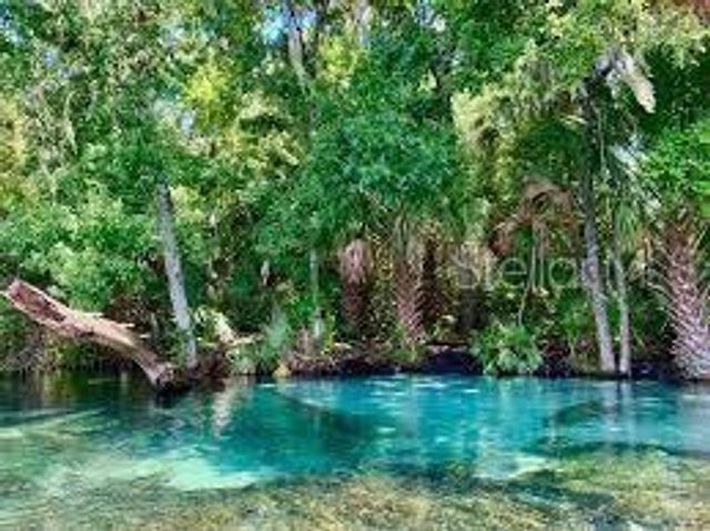 547 W HOMEWAY LOOP, Dunnellon, FL 34434