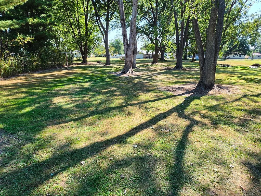 Image 3 of property listing at 108 N Linton Street, Odin, IL 62870