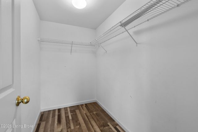 1216 Blackthorn Rd, Louisville, KY 40299