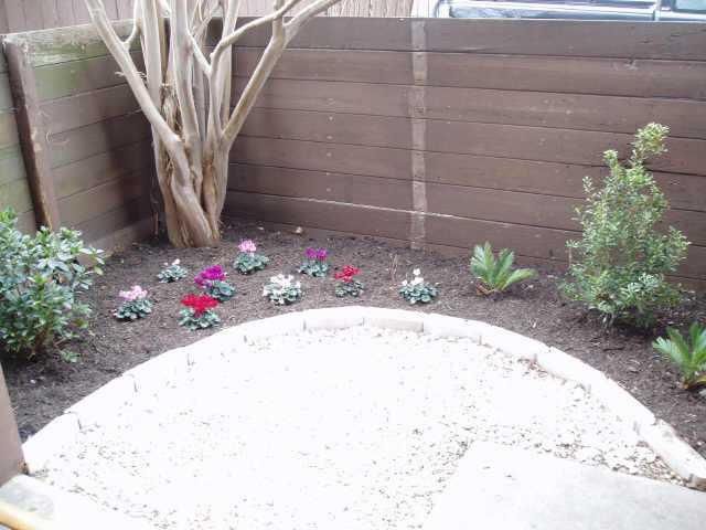 4409 Guadalupe ST N 3, Austin, TX 78751