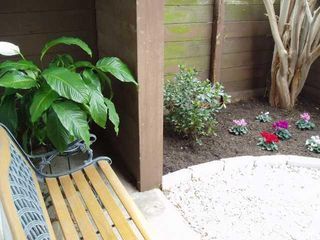 4409 Guadalupe ST N 3, Austin, TX 78751