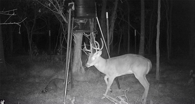 0 Bear Bottom Drive, Wharton, TX 77488