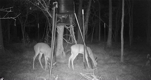 0 Bear Bottom Drive, Wharton, TX 77488