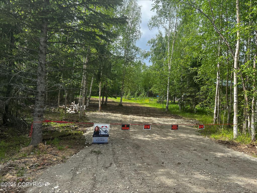 4150 N El Taino Drive, Wasilla, AK 99623