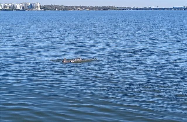 19029 US HIGHWAY 19 N 29E, Clearwater, FL 33764