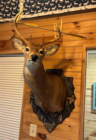 901 Crooked Creek Road, Carlisle, KY 40311