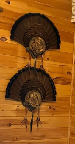 901 Crooked Creek Road, Carlisle, KY 40311