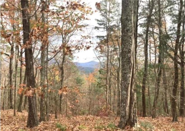 Lot 17 Abbott Mill, Ellijay, GA 30540