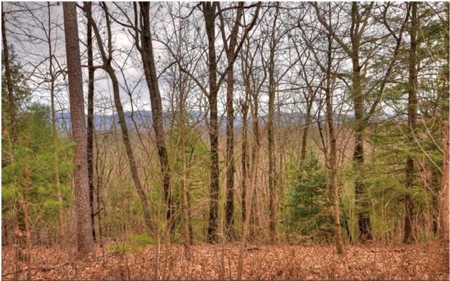 Lot 17 Abbott Mill, Ellijay, GA 30540