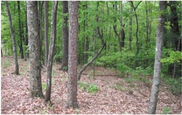 Lot 17 Abbott Mill, Ellijay, GA 30540