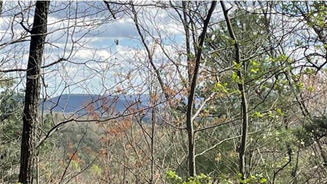 Lot 17 Abbott Mill, Ellijay, GA 30540