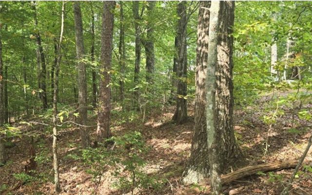 Lot 17 Abbott Mill, Ellijay, GA 30540
