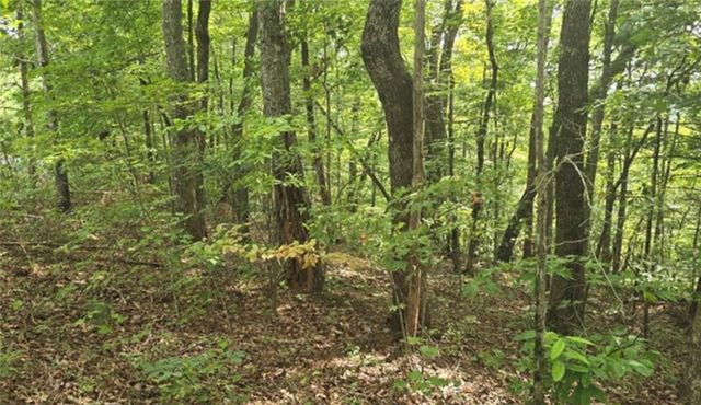 Lot 17 Abbott Mill, Ellijay, GA 30540