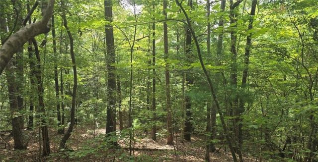 Lot 17 Abbott Mill, Ellijay, GA 30540