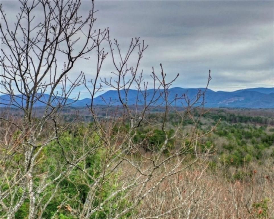 Lot 17 Abbott Mill, Ellijay, GA 30540