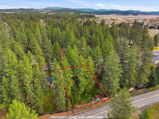 4814 E Peone Pines Dr, Mead, WA 99021