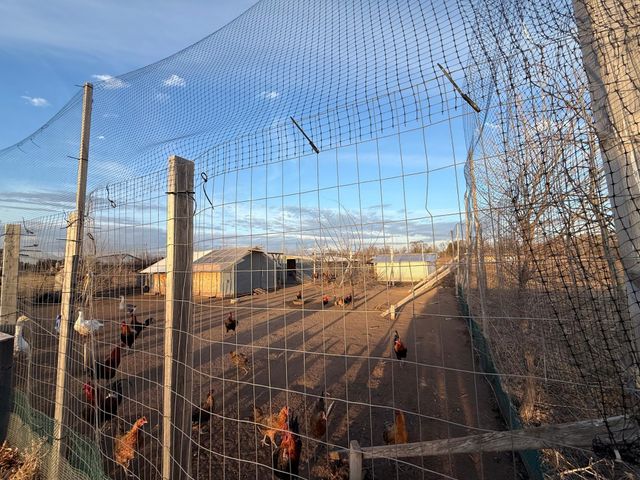 47575 Falcon Avenue, Rush City, MN 55069