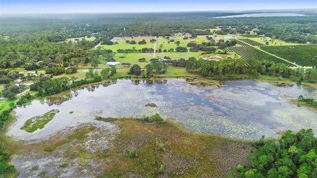 42554 MAGGIE JONES ROAD, Paisley, FL 32767