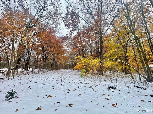 4980 Shunpike Road, Cambria, NY 14094