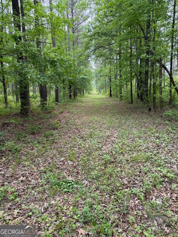 3385 Ga Highway 83 S, Monticello, GA 31064