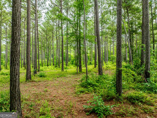 3385 Ga Highway 83 S, Monticello, GA 31064
