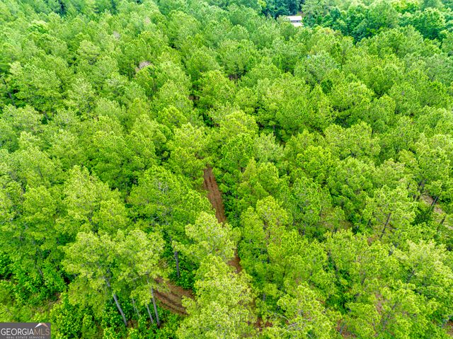 3385 Ga Highway 83 S, Monticello, GA 31064