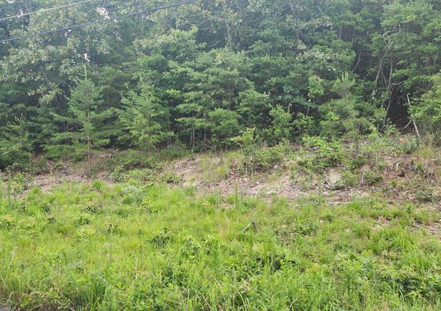 6201 Hidden Hill Road, Harrison, TN 37341