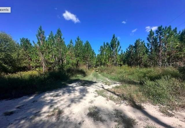 565 SW DAISY ROAD, Lake City, FL 32024