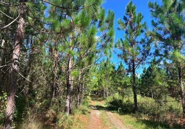 565 SW DAISY ROAD, Lake City, FL 32024