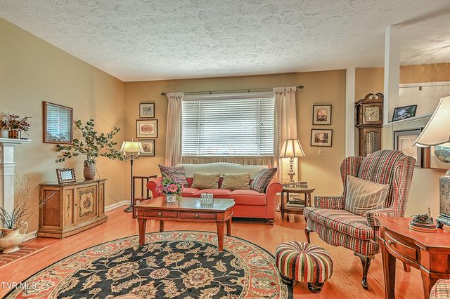 207 Hermosa Drive, Fall Branch, TN 37656