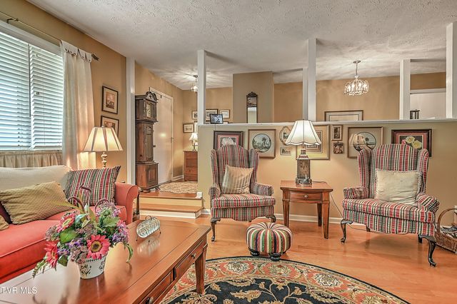 207 Hermosa Drive, Fall Branch, TN 37656