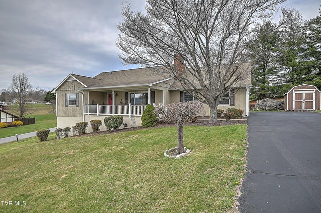 207 Hermosa Drive, Fall Branch, TN 37656