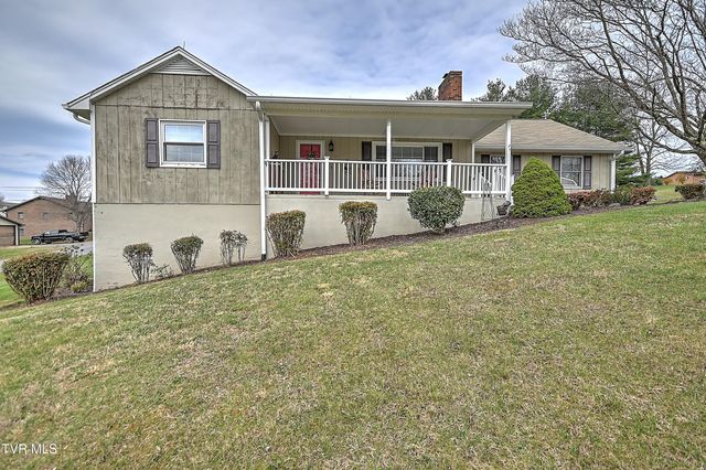 207 Hermosa Drive, Fall Branch, TN 37656