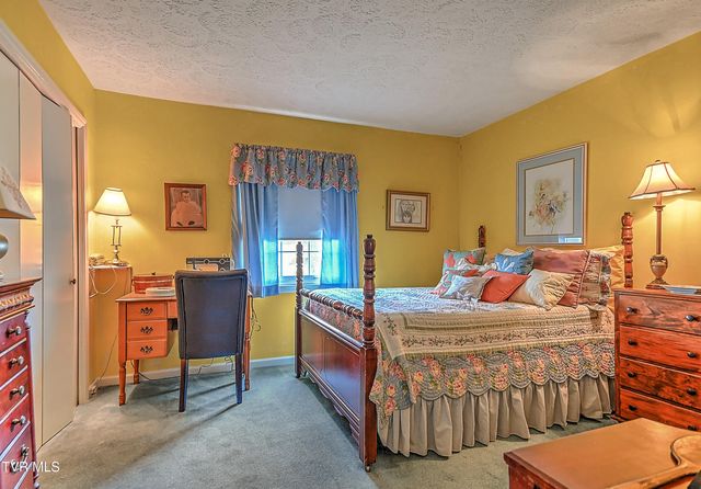 207 Hermosa Drive, Fall Branch, TN 37656